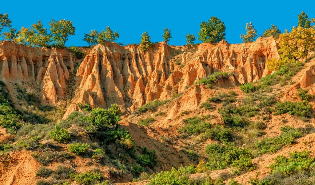 Natural Landscape